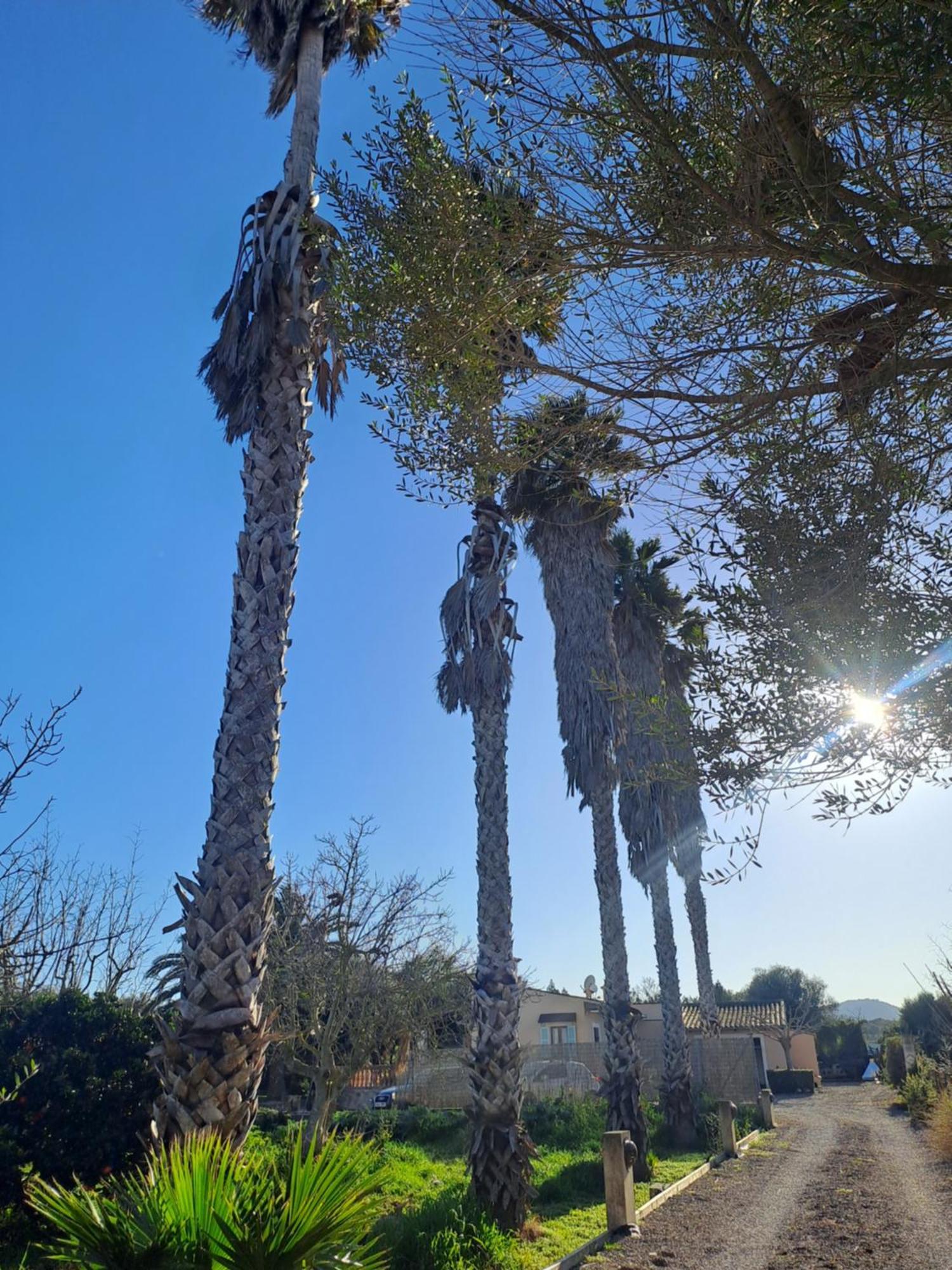 Es Garballons Manacor  Exteriér fotografie