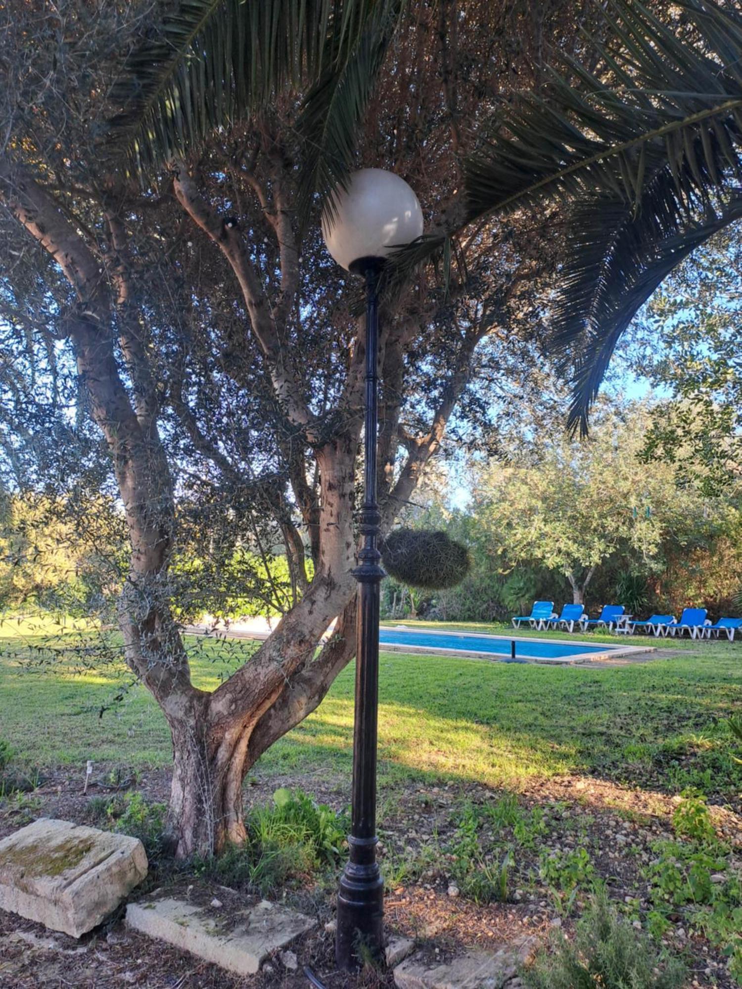 Es Garballons Manacor  Exteriér fotografie